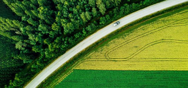 Aerial view of car driving on road along the green forest and potato with yellow rapeseed fields